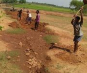 Land devlopment in Dumuripadar village,Dumuripadar GP,Koraput block